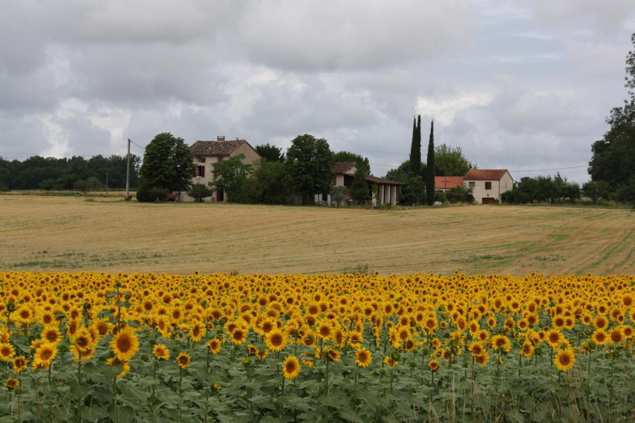 Bed and Breakfast Domaine 3 Soleils Labastide-de-Levis Экстерьер фото
